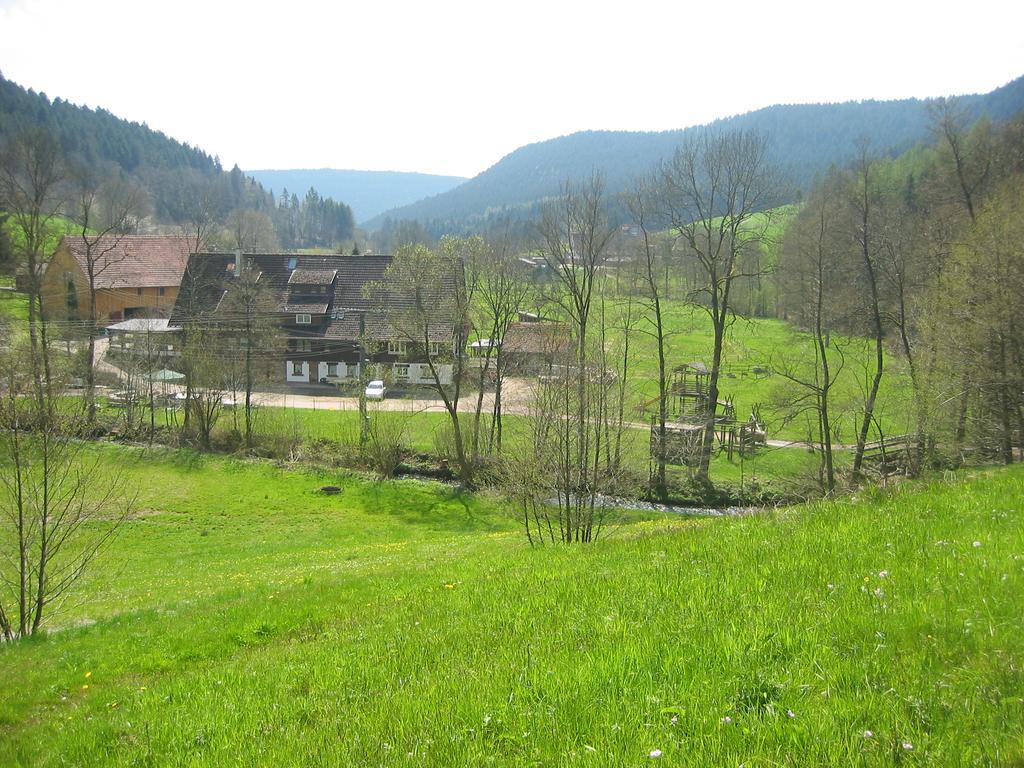 Landgasthof Untere Muhle Hotel Alpirsbach Exterior foto